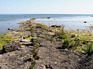 rocky point in Lake Erie photo by kerstitch